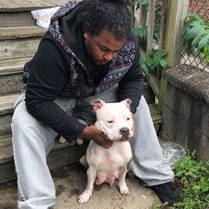 Meet your Posher, Lloyd